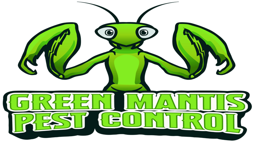 Trusted pest & termite control in Corona, CA & surrounding areas. Safe treatment for your family, pets, and home.